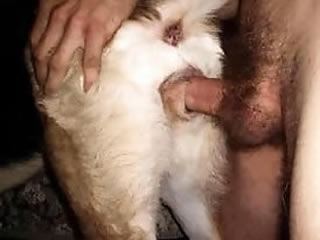 sick guy fuck his dog in the ass and cum on dog face.their animal sex was short but bestiality