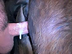 mare cunt creampied by human dick